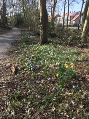 Gun de vogels rust tijdens broedseizoen in Het Overbosch